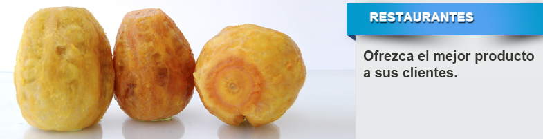 mayoristas chumbos